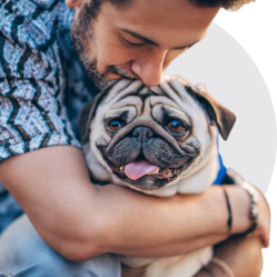 Testimonial-4-man-holding-pet-pug-dog-for-snout-and-whiskers