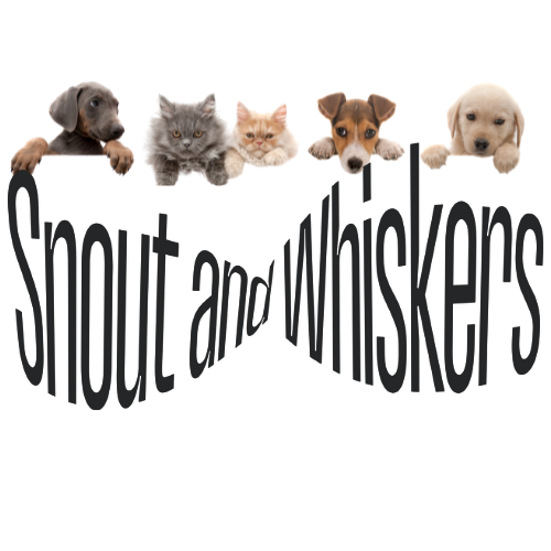 Puppies and kittens looking over the logo," Snout and Whiskers." Logo for website.
